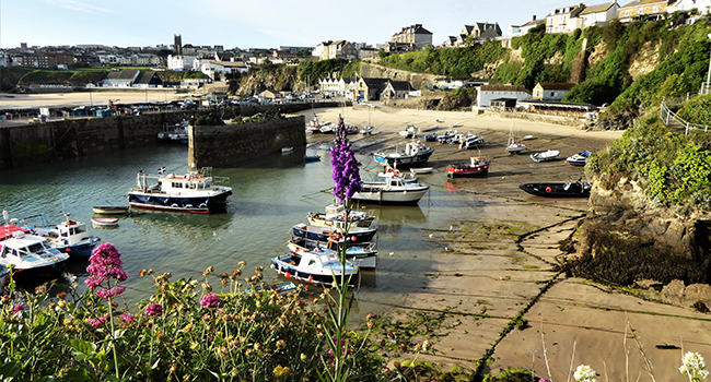 Newquay Harbour with fisherman as fishmongers selling live catches.